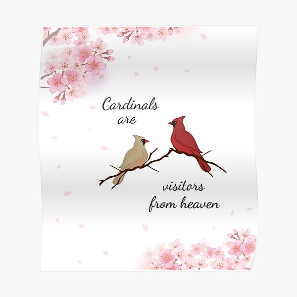 Cardinal Bird, Winter Poster, Cardinals Appear When Angels Are Near -  FridayStuff