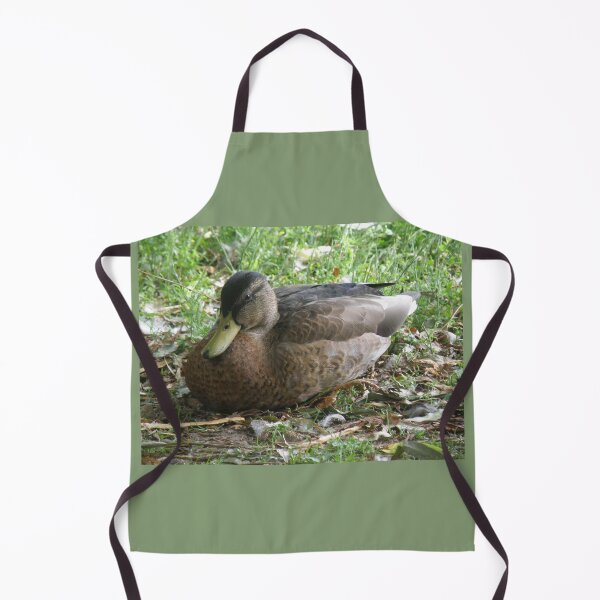 Item preview, Mallard Duck Resting Photograph designed and sold by naturegallery.