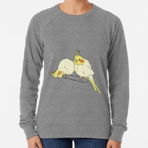 Cockatiel sweater clearance