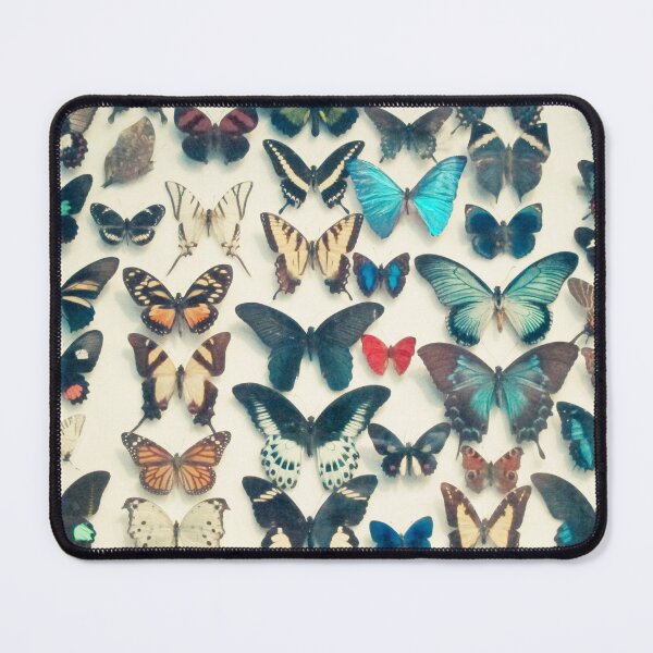 Item preview, Wings designed and sold by Cassia Beck.