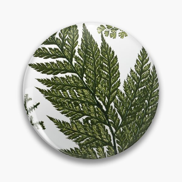 Item preview, Vintage Botanical Maidenhair Fern Illustration designed and sold by Naturalist Prints.