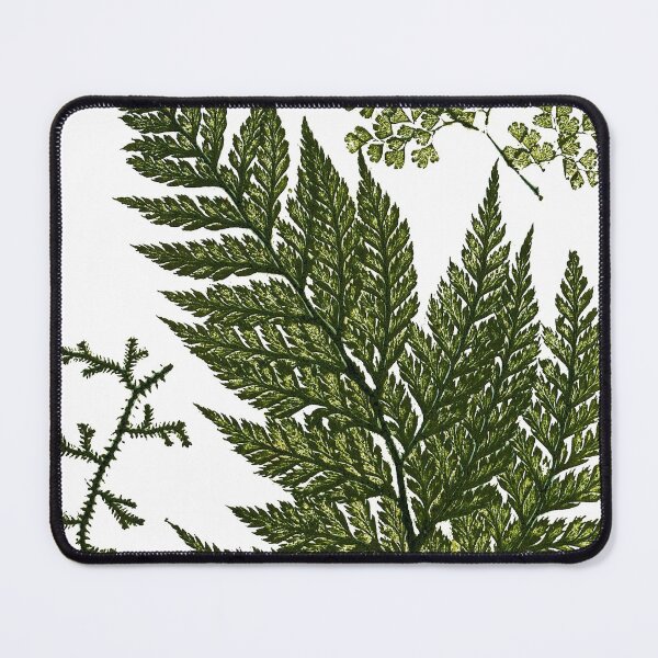 Item preview, Vintage Botanical Maidenhair Fern Illustration designed and sold by Naturalist Prints.