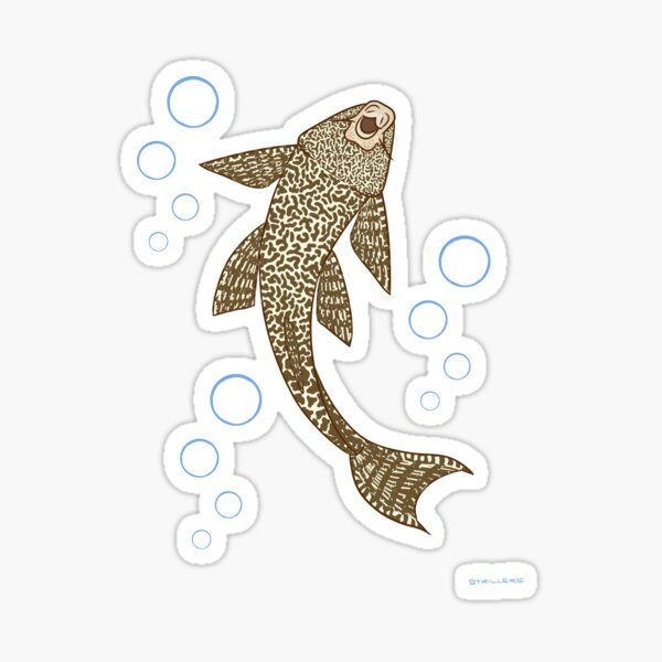 Pleco Sticker