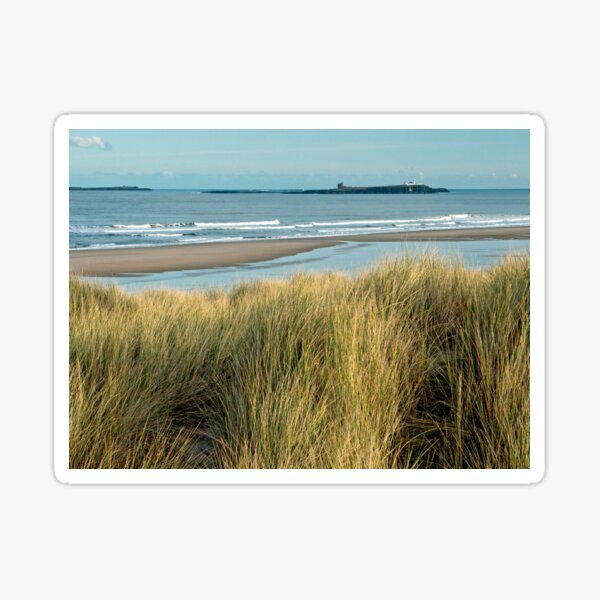 Item preview, Farne Islands just off Bamburgh Beach Northumberland Coast designed and sold by Cameranick.