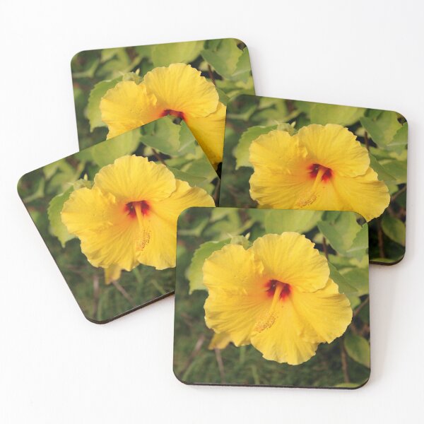 Aperçu de l'œuvre Hibiscus jaune. créée et vendue par VgBingi.