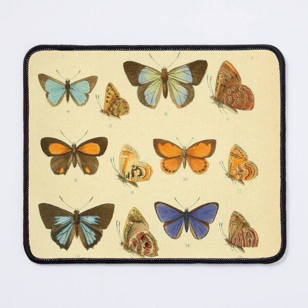 Item preview, VINTAGE BUTTERFLIES - COLOURFUL designed and sold by Kwayako.