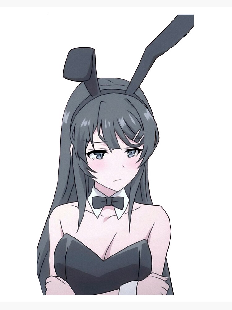 Anime bunny girl HD wallpapers  Pxfuel