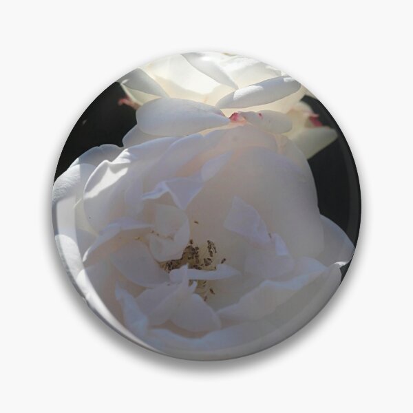 Item preview, White roses on black background designed and sold by olena2552.