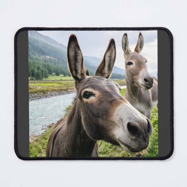 Item preview, Donkeys designed and sold by Shiroi-Kuruma.