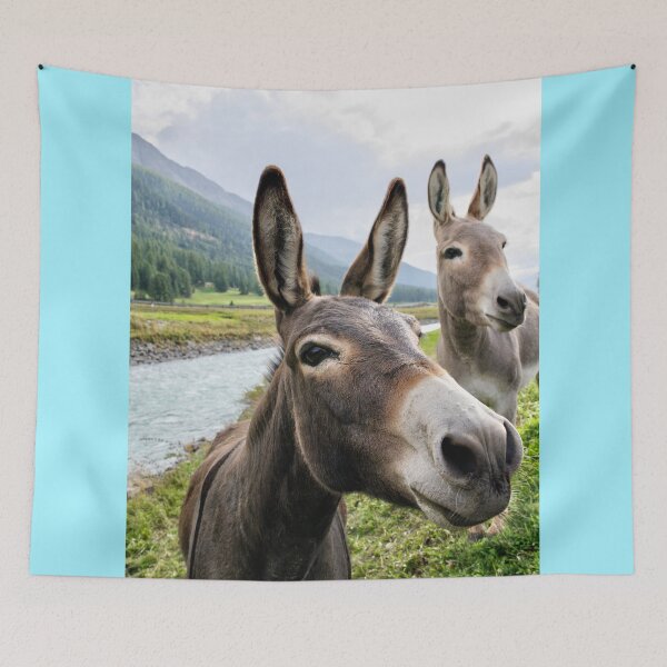 Item preview, Donkeys designed and sold by Shiroi-Kuruma.