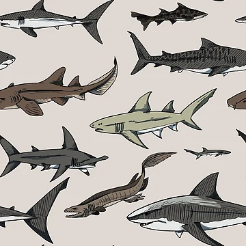 Artwork thumbnail, Shark Pattern by ClassyShark