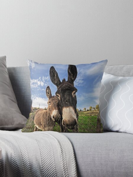 Item preview, Donkeys! designed and sold by TonyPriestley.