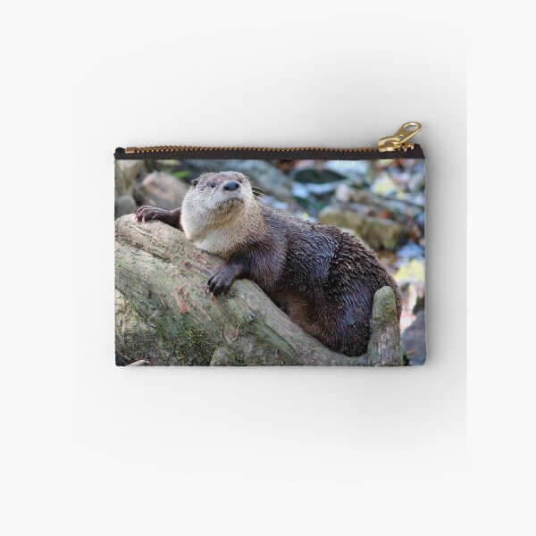 Item preview, Northern River Otter designed and sold by Cynthia48.