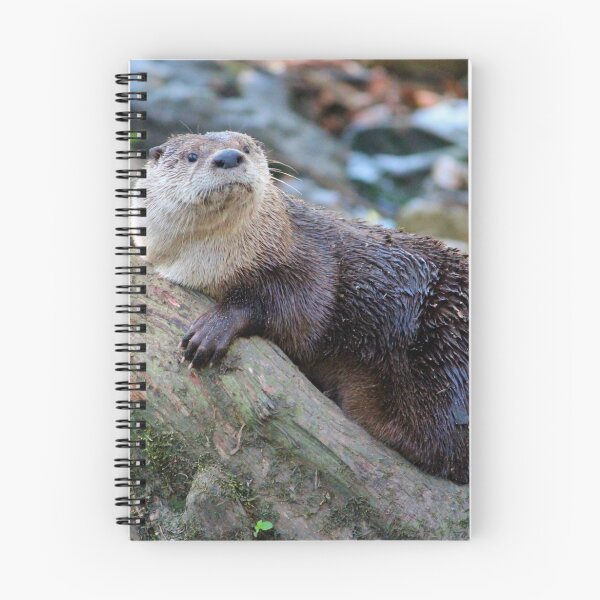 Item preview, Northern River Otter designed and sold by Cynthia48.