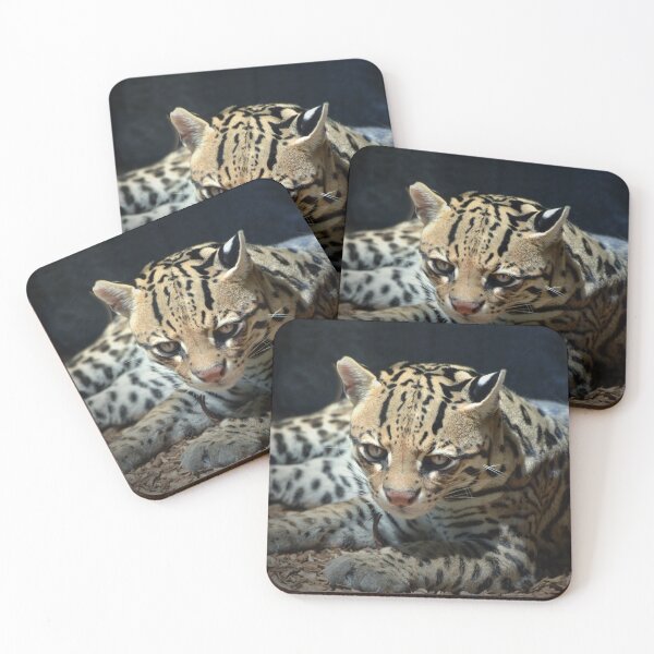 Item preview, Ocelot  designed and sold by Savannah Gibbs.
