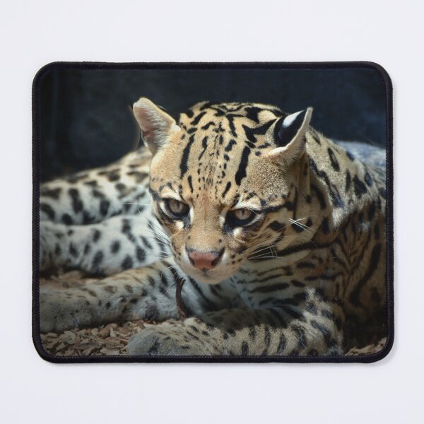 Item preview, Ocelot  designed and sold by Savannah Gibbs.