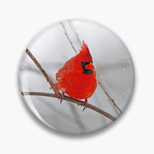 Item preview, Winter Male Northern Red Cardinal designed and sold by Deb Oppermann.