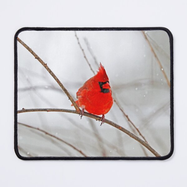 Item preview, Winter Male Northern Red Cardinal designed and sold by Deb Oppermann.