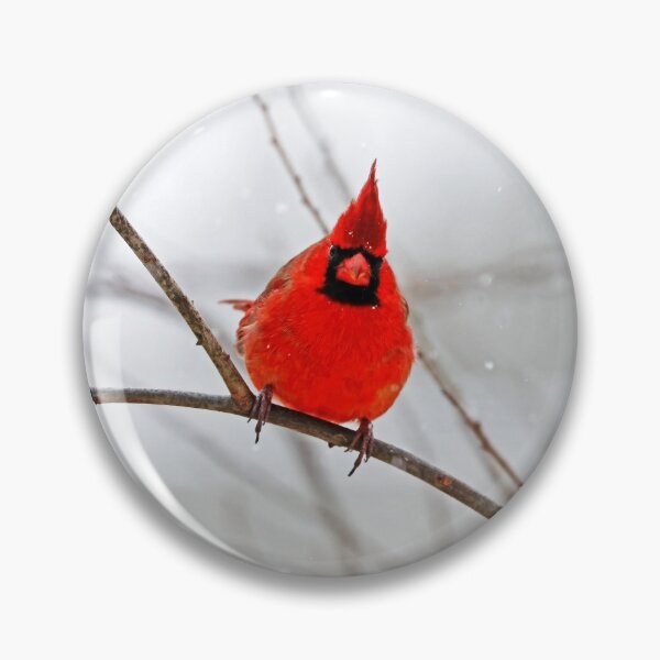 Item preview, Winter Male Northern Red Cardinal Attitude designed and sold by Deb Oppermann.