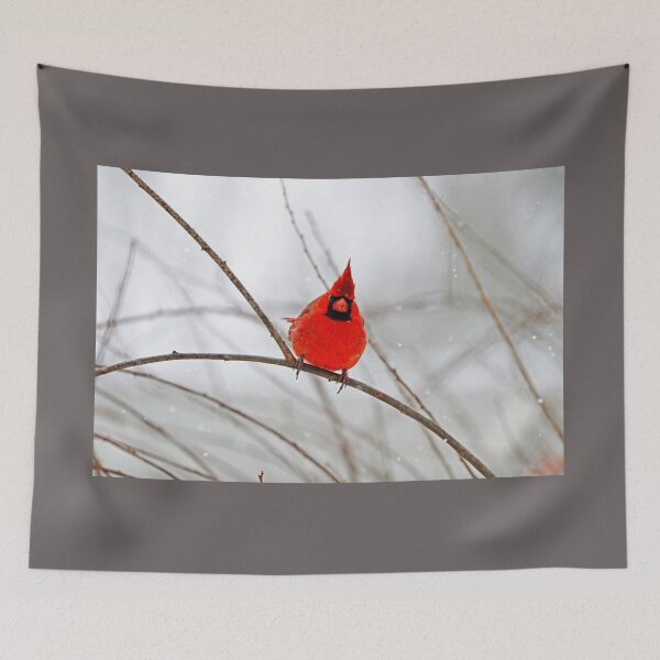 Item preview, Winter Male Northern Red Cardinal Attitude designed and sold by Deb Oppermann.
