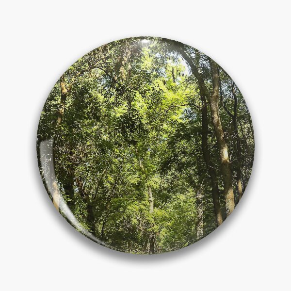 Item preview, Woodland cathedral--summer morning designed and sold by Joel Bader.