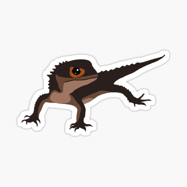 Red-Eyed Crocodile Skink Sticker