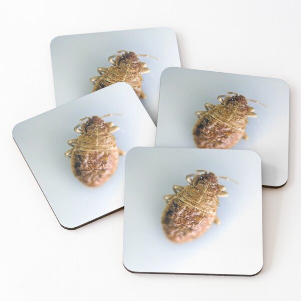 Item preview, The Common Bed Bug designed and sold by BugNews.