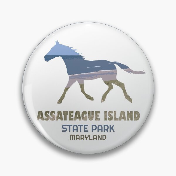 Item preview, Assateague Island State Park Horse Logo designed and sold by VanyaKar.