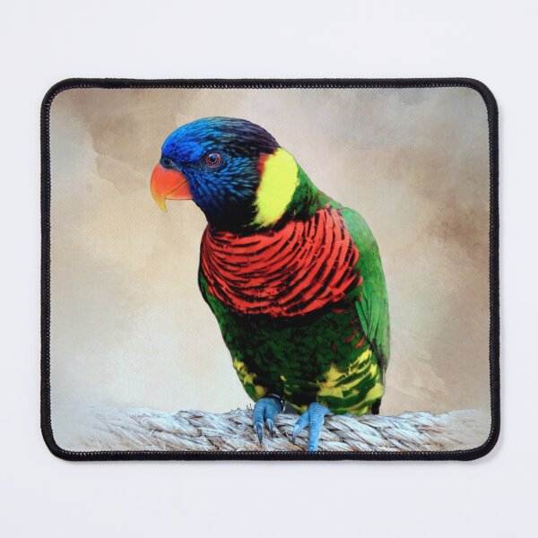 Item preview, Multicolor Bird 87 designed and sold by artbylucie.
