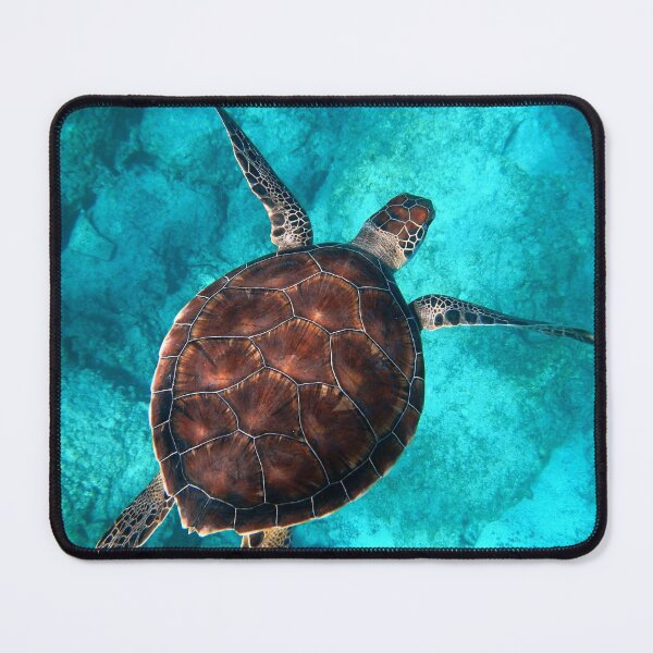 Item preview, Swimming seaturtle designed and sold by Darcie Smith.