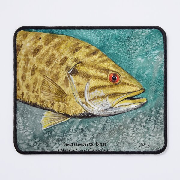 Item preview, Smallmouth Bass Painting designed and sold by Stephen Emms.