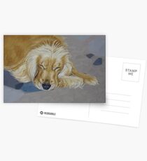 Sleeping Pet Postcards