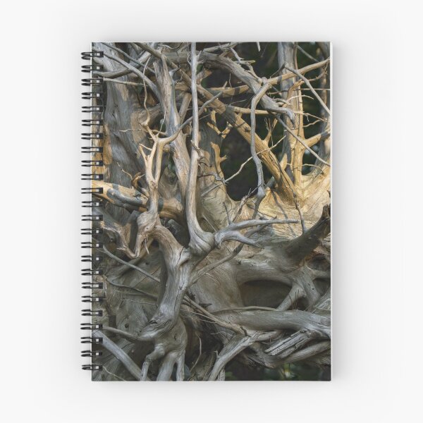 Item preview, Tree Roots designed and sold by Chorizo13.