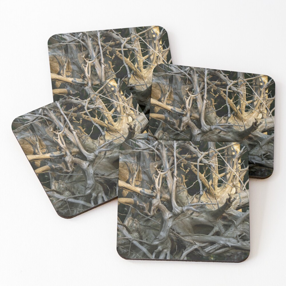 Item preview, Coasters (Set of 4) designed and sold by Chorizo13.