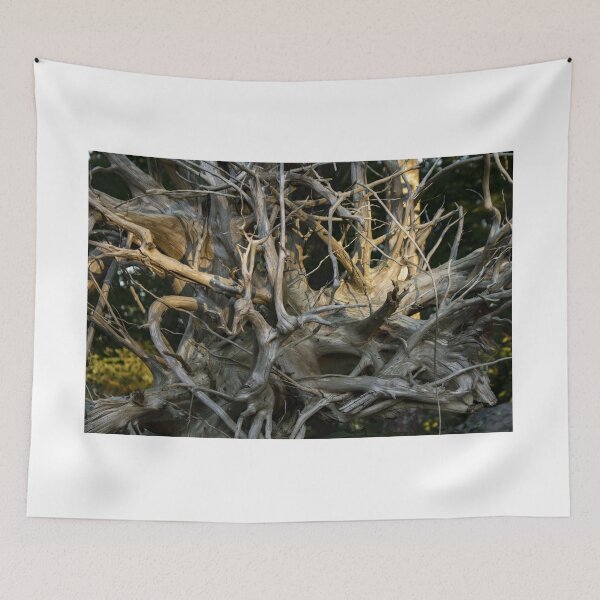 Item preview, Tree Roots designed and sold by Chorizo13.