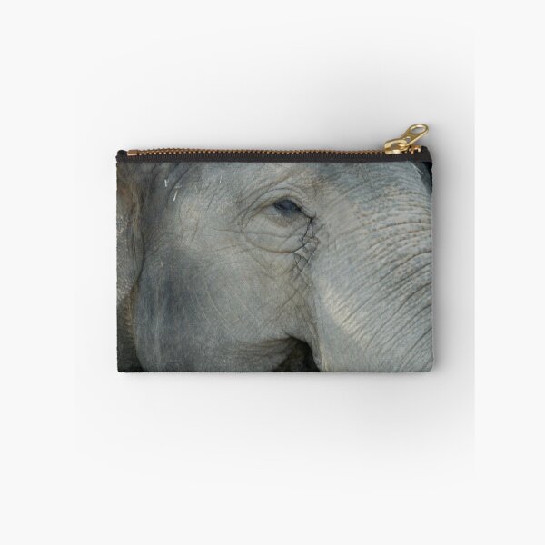 Item preview, What Does She Think of Us? Elephant, Beerwah, Queesland, Australia. designed and sold by kaysharp.