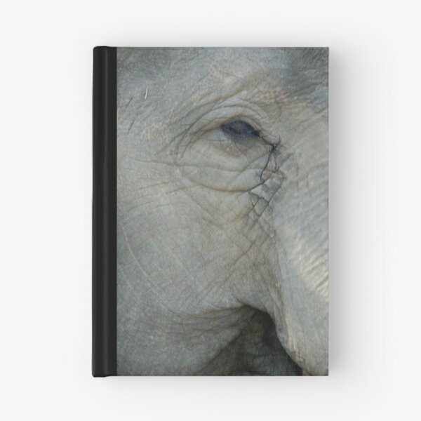 Item preview, What Does She Think of Us? Elephant, Beerwah, Queesland, Australia. designed and sold by kaysharp.