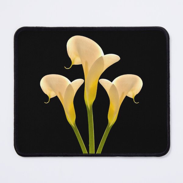 Item preview, White calla lilies flower bouquet  designed and sold by Floradigital.