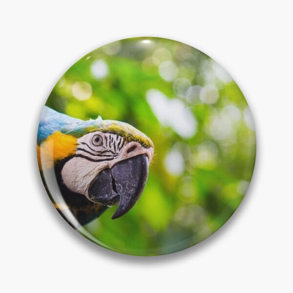 Item preview, PARROT JUST CHECKING designed and sold by dorcas13.
