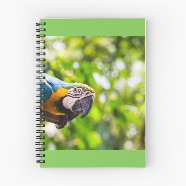 Item preview, PARROT JUST CHECKING designed and sold by dorcas13.