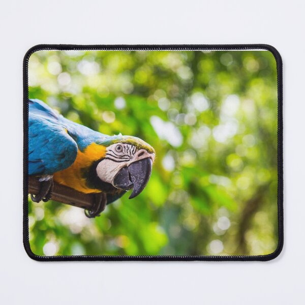 Item preview, PARROT JUST CHECKING designed and sold by dorcas13.