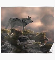 Timber wolf Poster