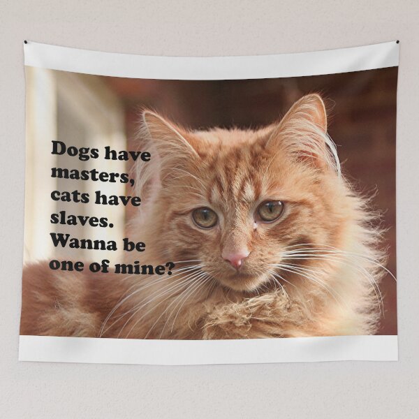 Item preview, Dogs have masters, cats have slaves. Wanna be one of mine? designed and sold by FranWest.