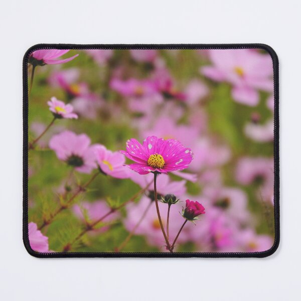 Item preview, Pink Cosmos Flower in a Field of France designed and sold by CarolinaReina.