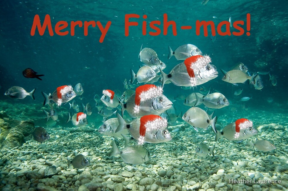 "Fish Christmas Card: 2" by Heather Lawrence  Redbubble
