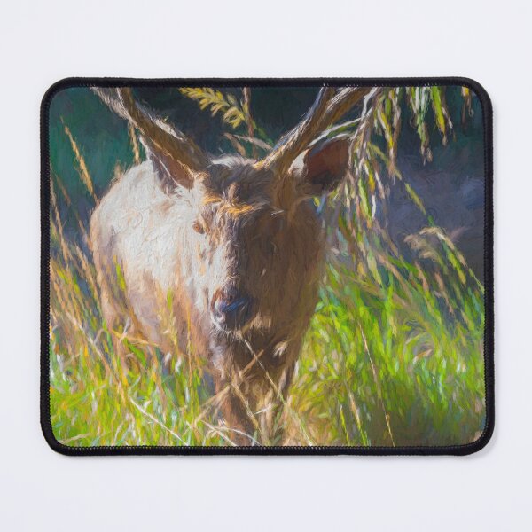 Item preview, Sambar deer in the forest designed and sold by Pravine Chester.