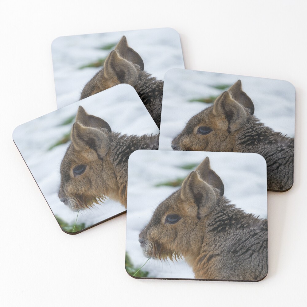Item preview, Coasters (Set of 4) designed and sold by rawshutterbug.
