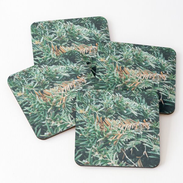 Item preview, Green fir tree branches closeup designed and sold by Ingo Menhard.