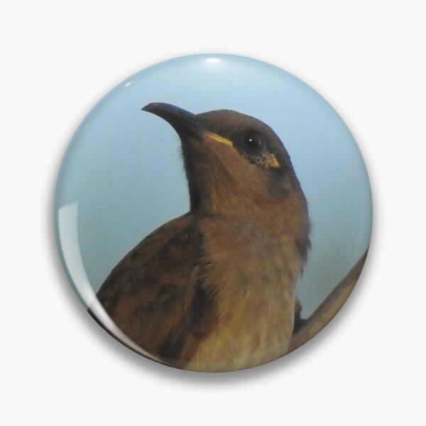 Artikelvorschau, Brown Honeyeater "Das ist meine gute Seite." entworfen und verkauft von Dragonsfield.