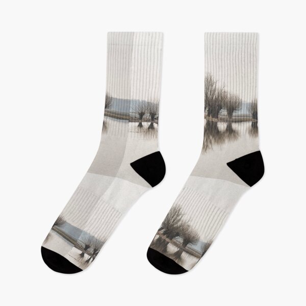 Item preview, Pollard willows in the reflection of the flood designed and sold by Ingo Gerlach.